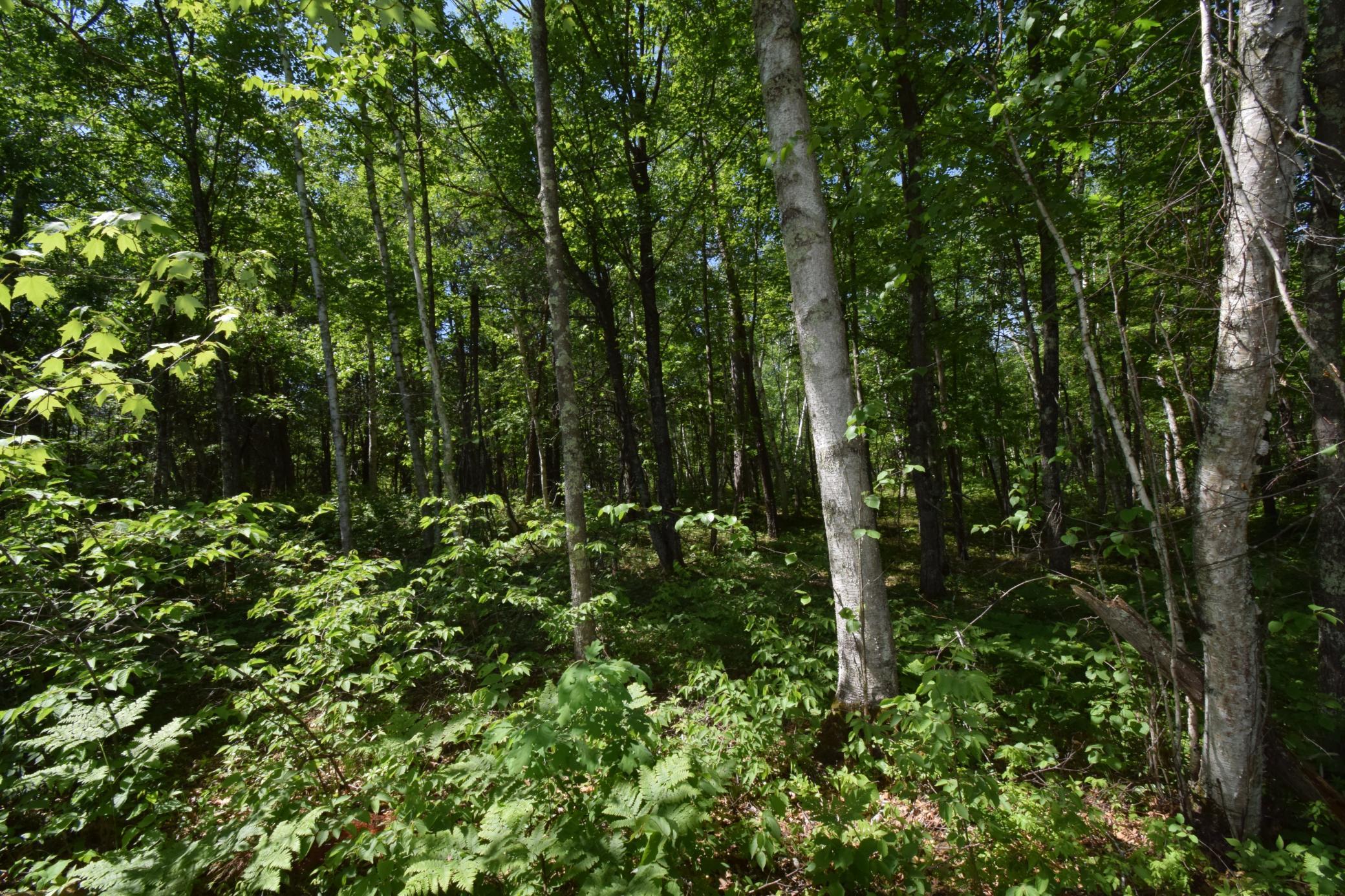 DSC_0129.JPG