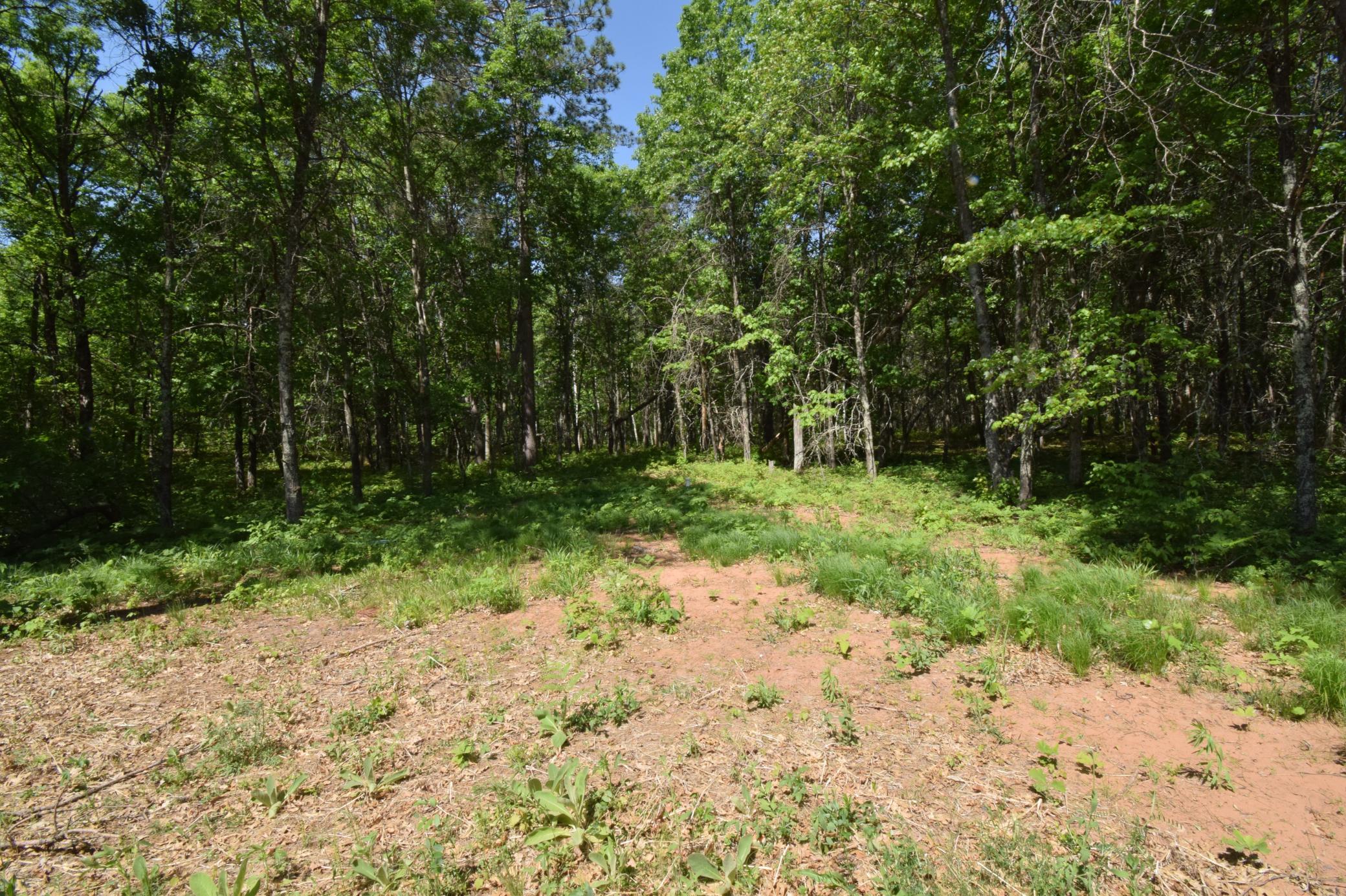 DSC_0156.JPG