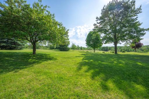 More than 5 acres to roam