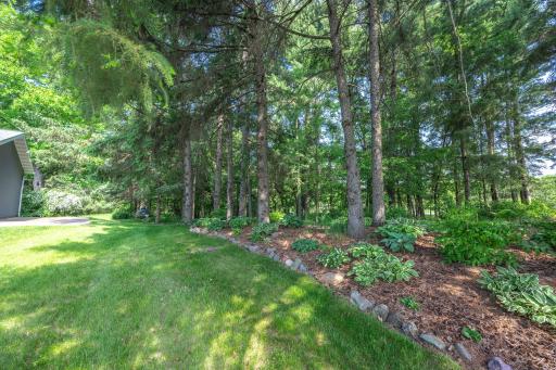 Established perennials