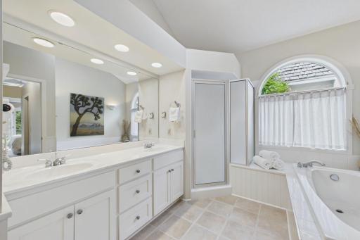 Luxurious main floor bathroom! Jacuzzi, shower, double vanity.