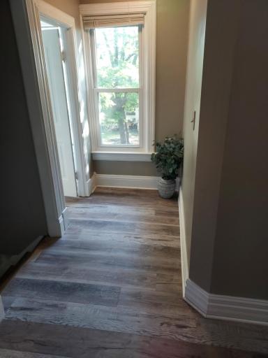 Adorable hallway upstairs next to a big walk-in closet for storage.