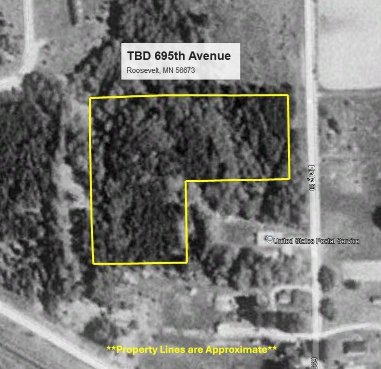 May 1991 Aerial Map