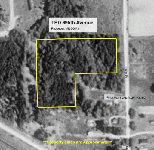 May 1991 Aerial Map