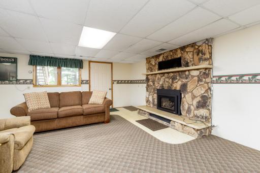 Lower level family room area with stone gas-burning fireplace and walkout door.
