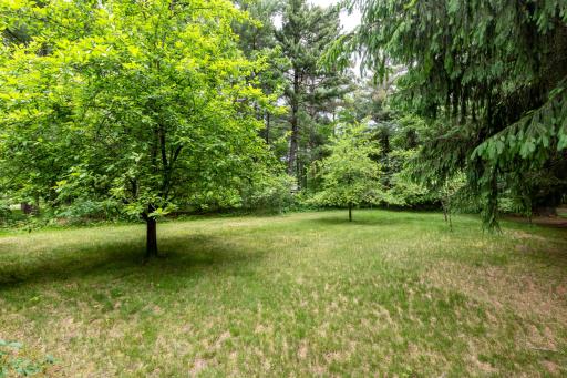Your very own apple orchard with watering spigot just out of view.