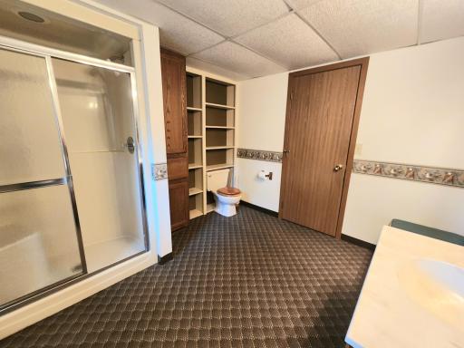 Large lower level 3/4 bath and changing room.