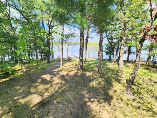 Just the right amount of tree cover on the lakeside offering great privacy.
