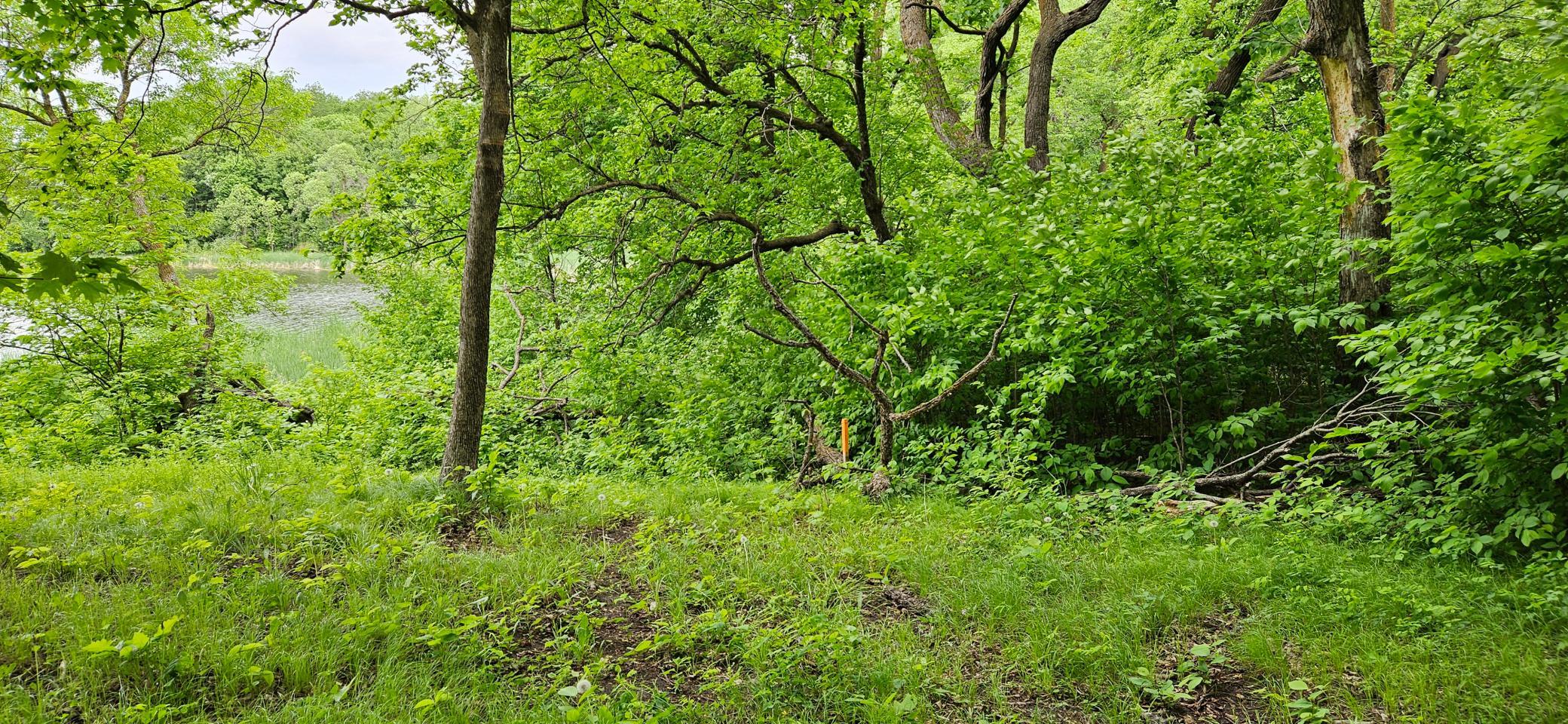 North boundary stake