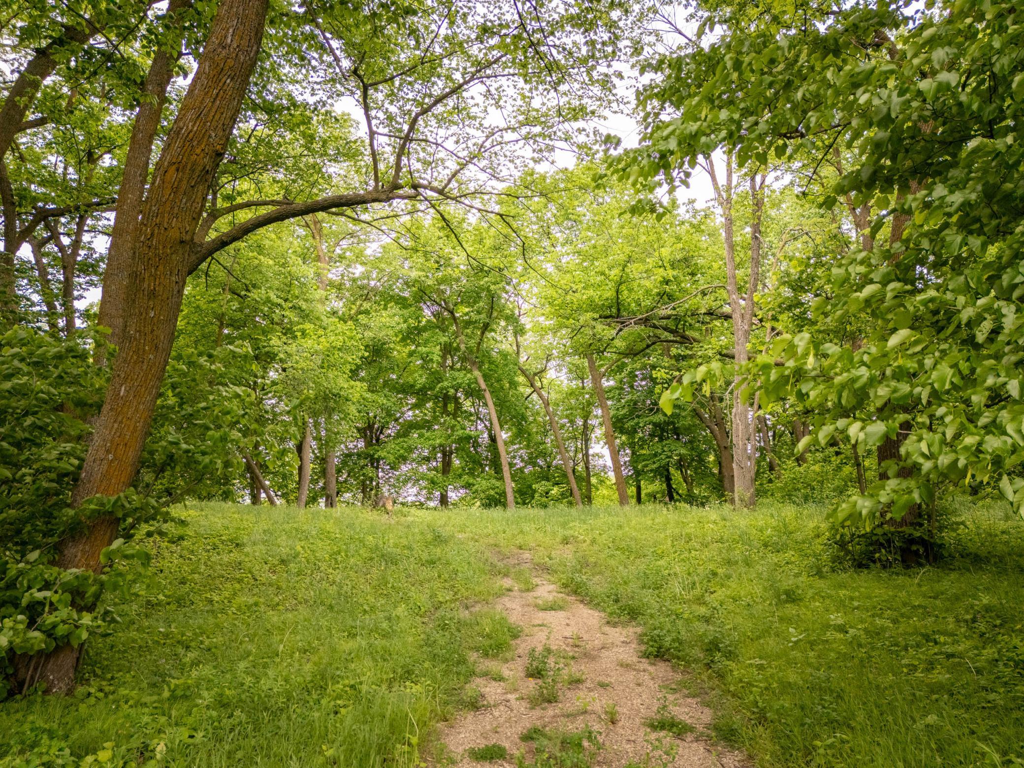Trail from Solitude Ct