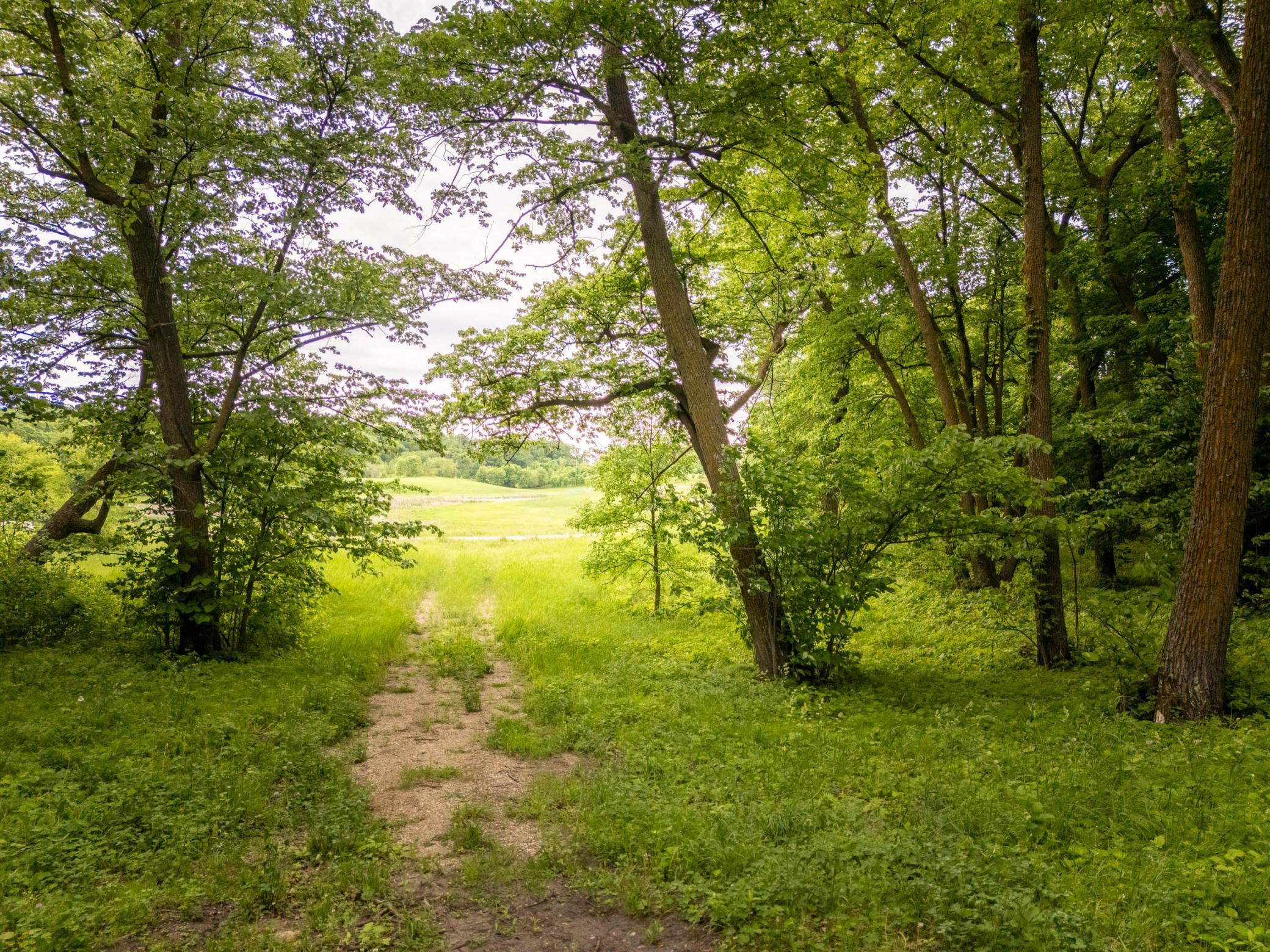 Looking back toward Solitude Ct