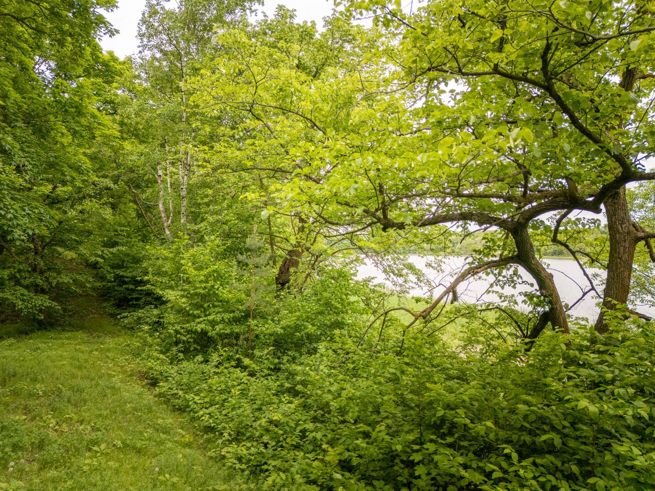 Trail to south boundary