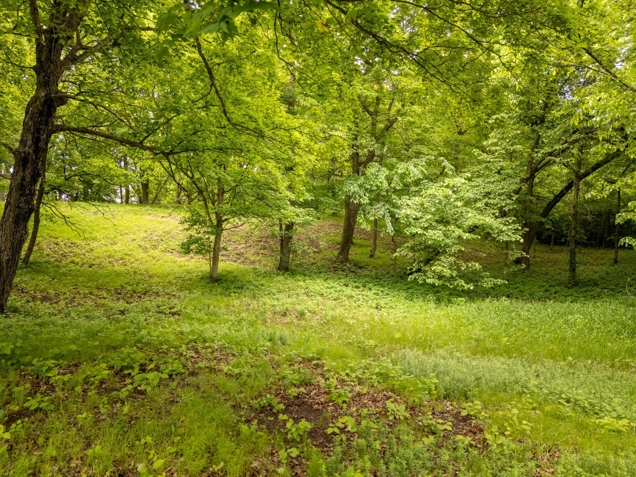 Looking back at trail