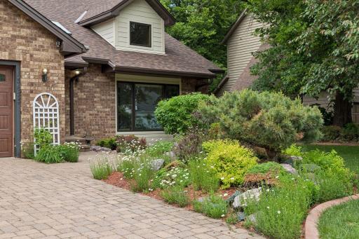 Landscaping is filled with surprises! First the Tulips, then Clematis and now the Daisies : ) What's next?