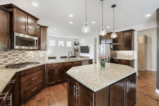 14630 50th Place N, Minneapolis, MN 55446