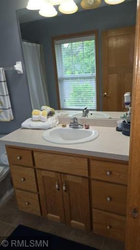 13322 Tulip Street NW, Andover, MN 55304