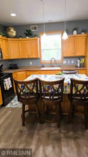 13322 Tulip Street NW, Andover, MN 55304