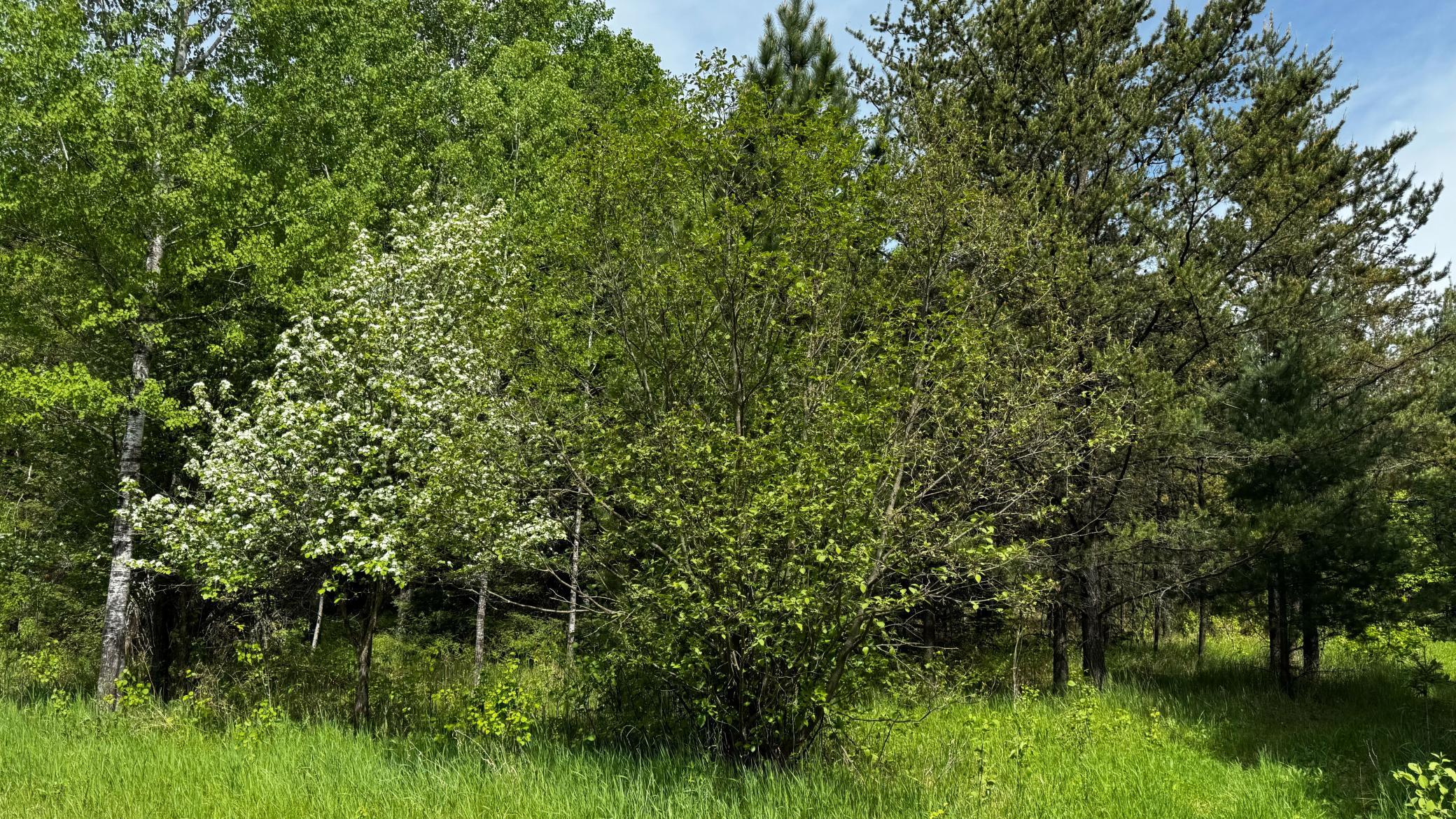 IMG_E0325.jpg