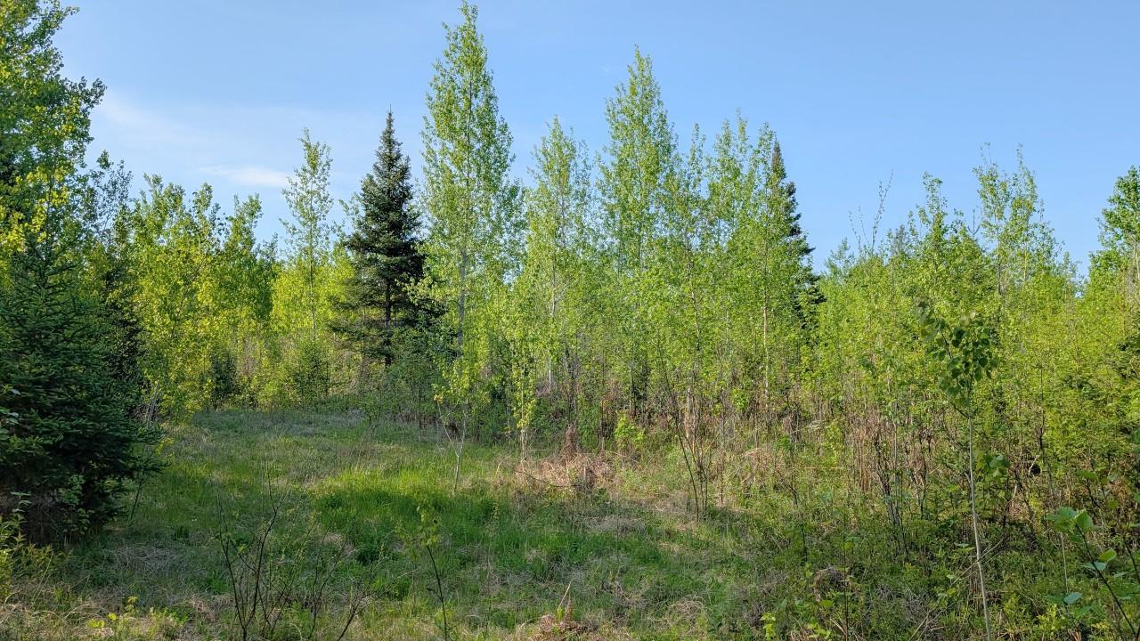 Property photo for 7573 Thumbnail Drive, Embarrass, MN 55732
