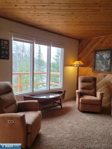 9161 Hibbing Point Road, Cook, MN 55723