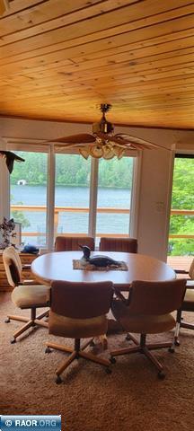 9161 Hibbing Point Road, Cook, MN 55723