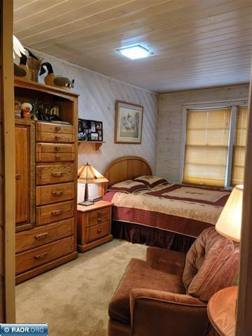 9161 Hibbing Point Road, Cook, MN 55723