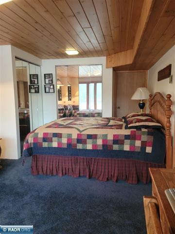 9161 Hibbing Point Road, Cook, MN 55723