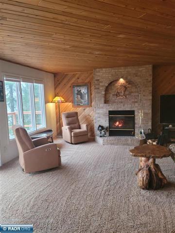 9161 Hibbing Point Road, Cook, MN 55723
