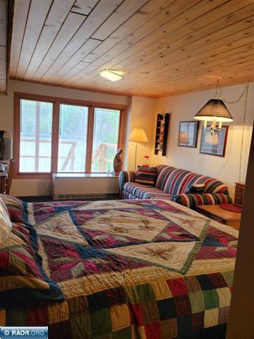 9161 Hibbing Point Road, Cook, MN 55723