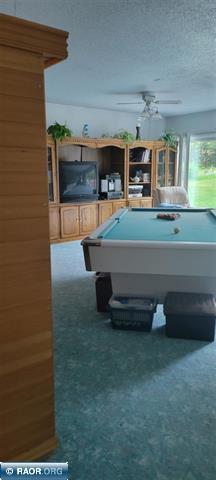9161 Hibbing Point Road, Cook, MN 55723