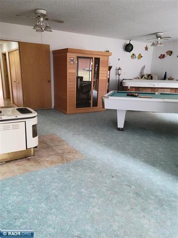 9161 Hibbing Point Road, Cook, MN 55723