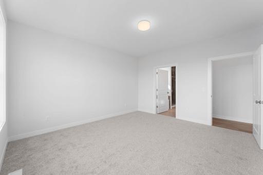 Main Level Owner's Suite Bedroom