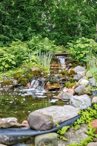 Amazing 2 level pond complete with waterfalls and perfect for future koi fish