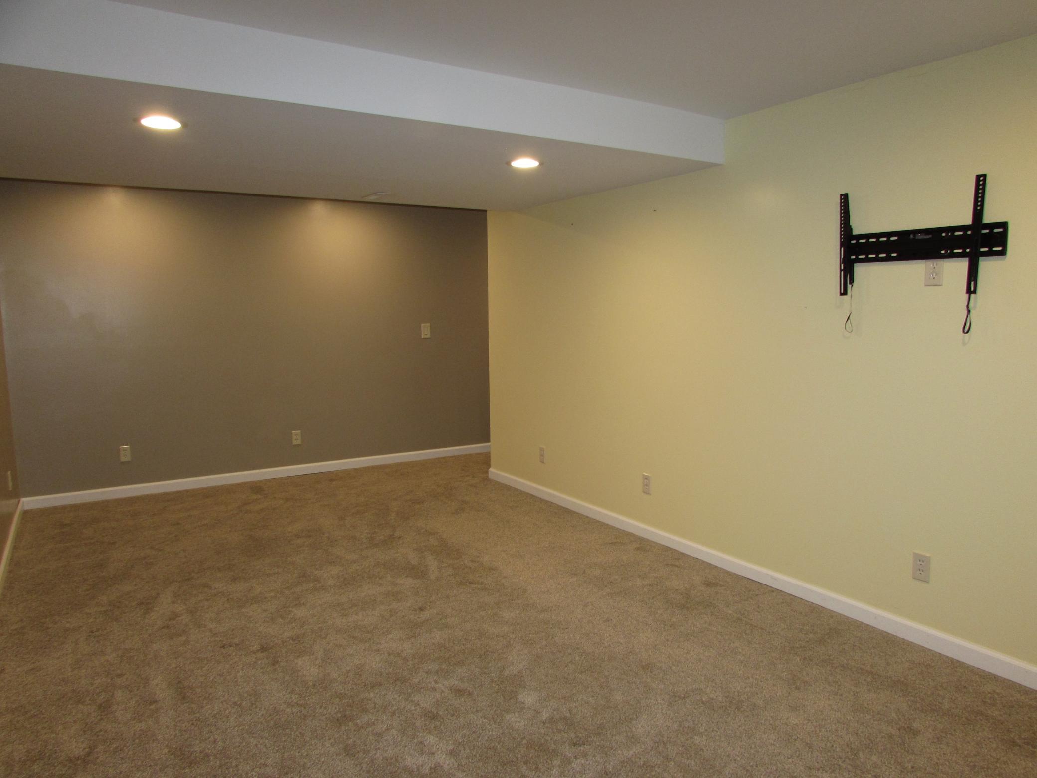 Family Room (Basement)