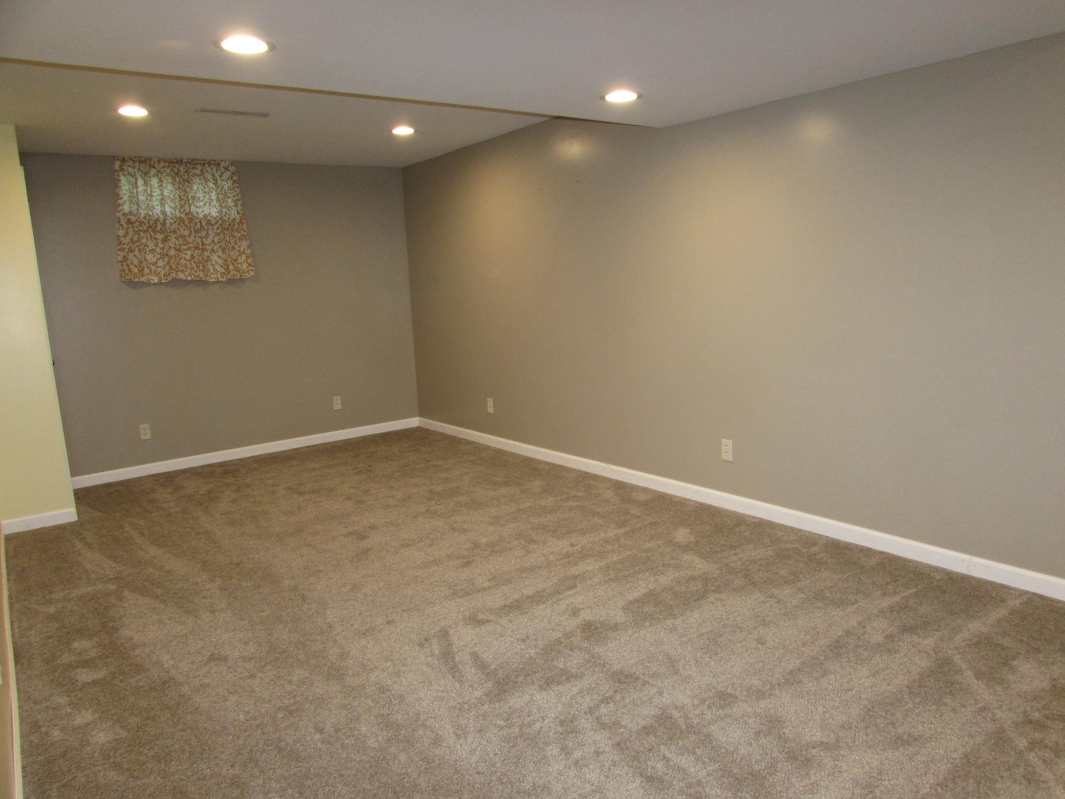 Family Room (Basement)