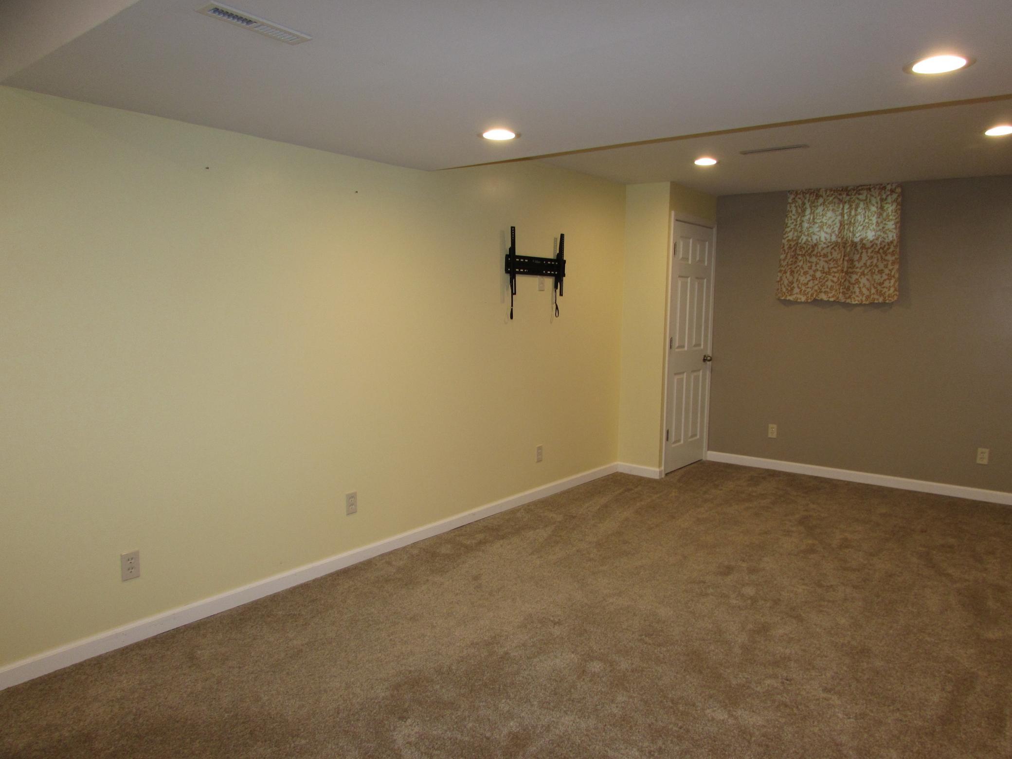 Family Room (Basement)