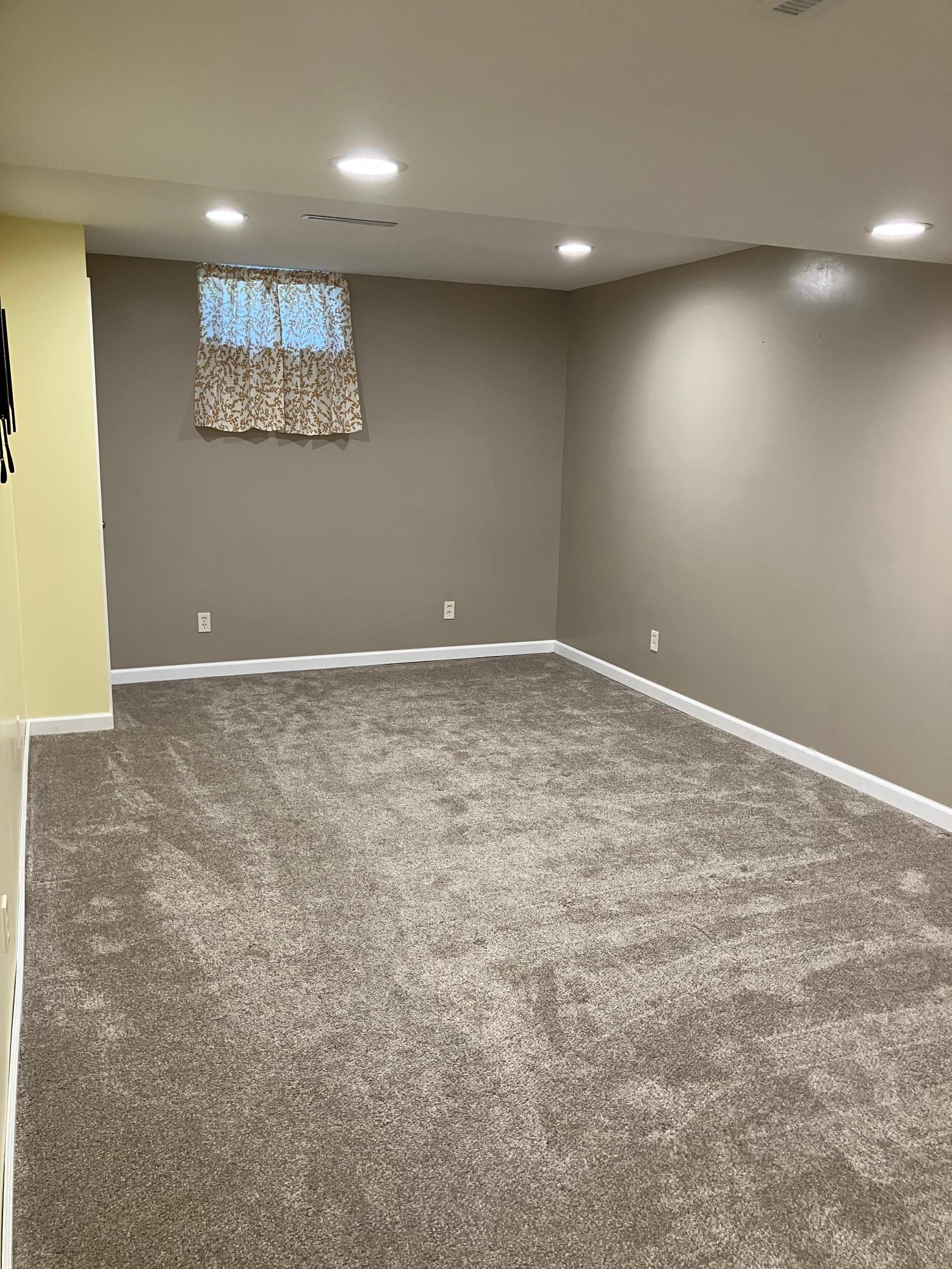 Family Room (Basement)