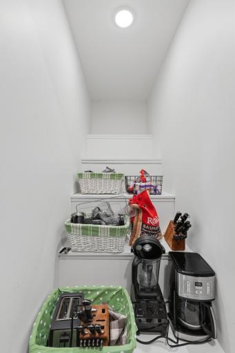 Walk-in closet pantry ~ plenty of storage