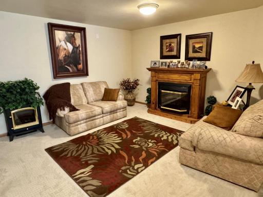 33678 Wildwood Drive, Dent, MN 56528