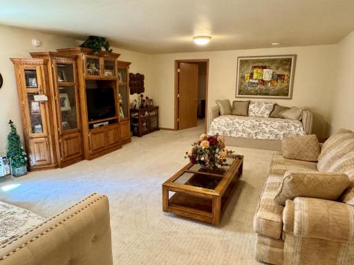 33678 Wildwood Drive, Dent, MN 56528