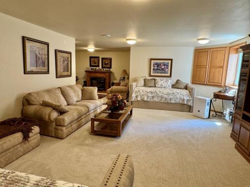 33678 Wildwood Drive, Dent, MN 56528
