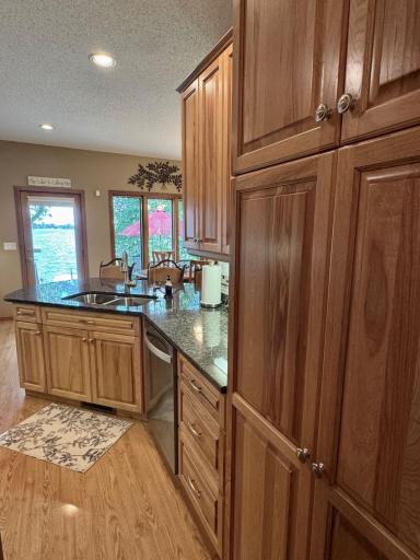 33678 Wildwood Drive, Dent, MN 56528
