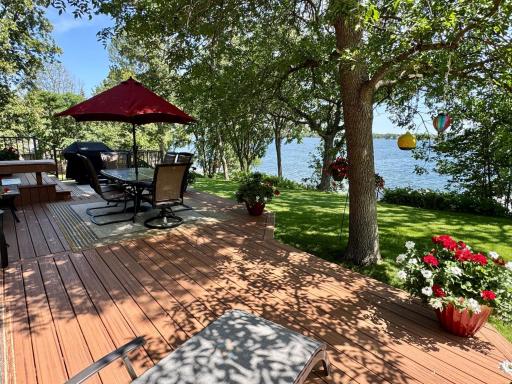 33678 Wildwood Drive, Dent, MN 56528