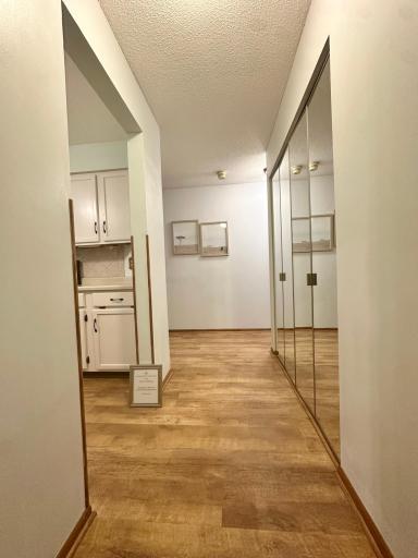 Entrance view - kitchen on the left, closet on the right.