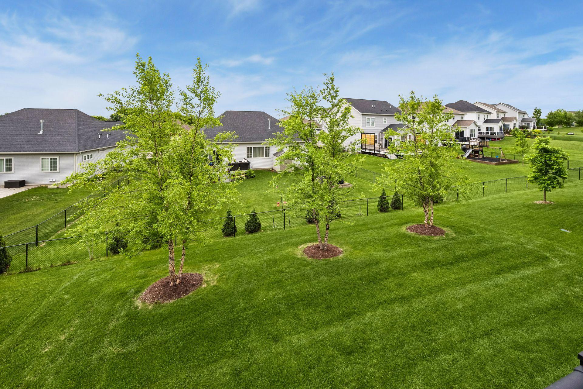 New Trees & Landscaping Throughout the Property