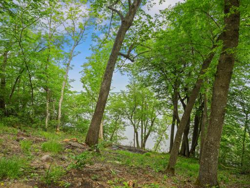 483XX Squaw Point Trl, Perham, MN 56573