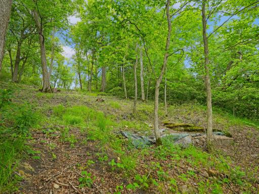 483XX Squaw Point Trl, Perham, MN 56573