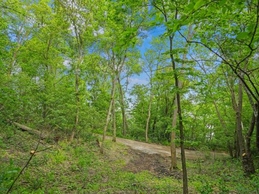 483XX Squaw Point Trl, Perham, MN 56573