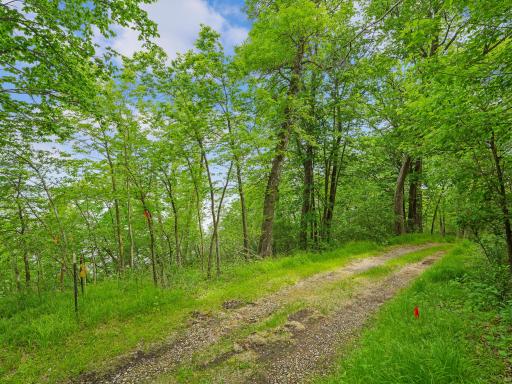 483XX Squaw Point Trl, Perham, MN 56573