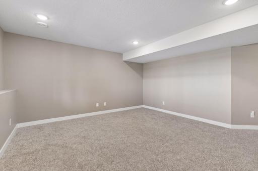 Family Room w/ New Carpet - Lower Level